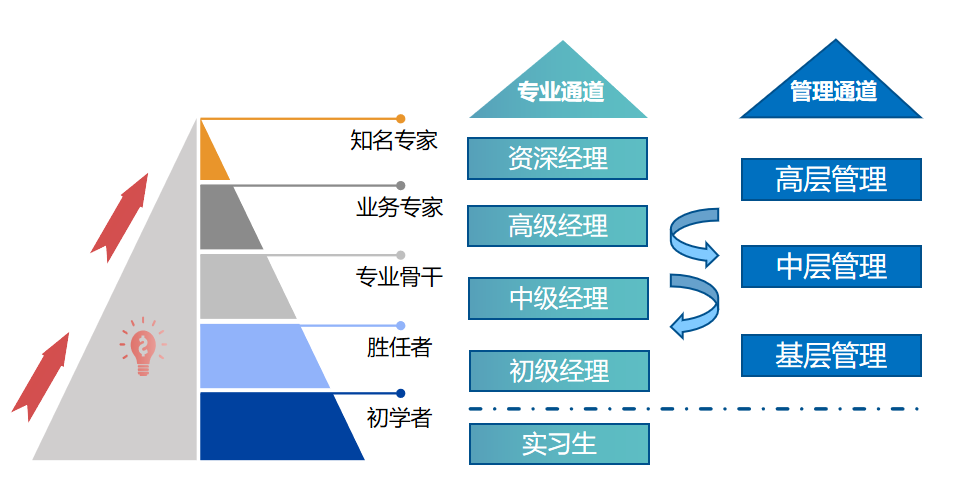 310直播足球